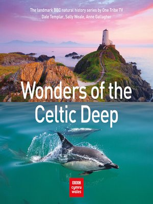 cover image of Wonders of the Celtic Deep
